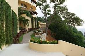 Palmetto Ixtapa 313