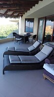 Palmetto Ixtapa 313