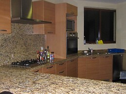 Palmetto Ixtapa 313