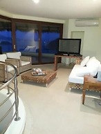 Palmetto Ixtapa 313