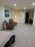 Palmetto Ixtapa 313