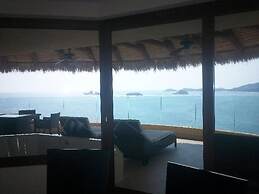 Palmetto Ixtapa 313