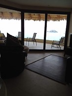 Palmetto Ixtapa 313