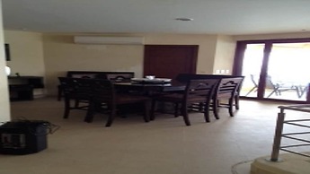 Palmetto Ixtapa 313