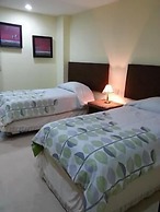 Palmetto Ixtapa 313