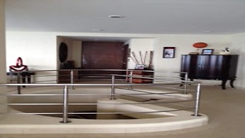 Palmetto Ixtapa 313