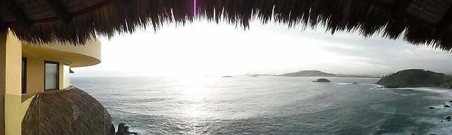 Palmetto Ixtapa 313
