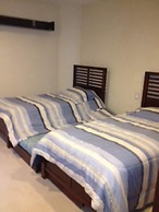 Palmetto Ixtapa 313