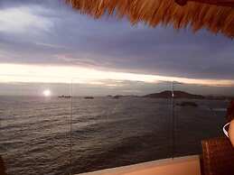 Palmetto Ixtapa 313