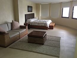 Palmetto Ixtapa 313