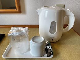 Center Hotel Narita 1