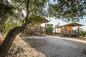 Ajloun cabins