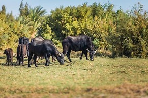 Azraq Lodge