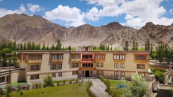 The Driftwood Ladakh