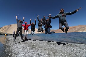 The Driftwood Ladakh