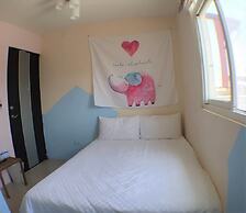 Sara's House