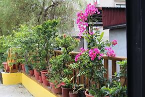 Sara's House