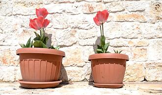 Masseria Gravelle