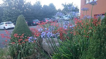 Hotel Rural Yeguada Albeitar