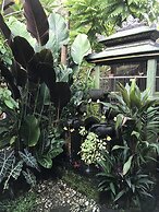 Kacu guest house