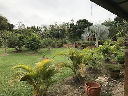 House of Garden