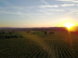 Agriturismo Poggio alle Vigne