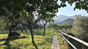 Villanova - Nature & Wellness