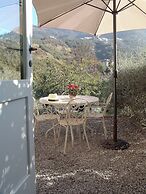 Villanova Apartments - Nature & Wellness