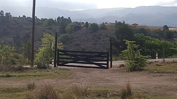 Bernalina