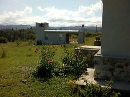 Bernalina