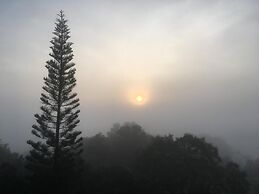 Forest Hill1 Khao Kho