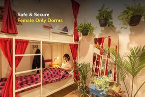 goSTOPS Lite Jaipur