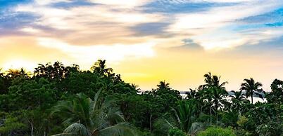 Turtle Paradise