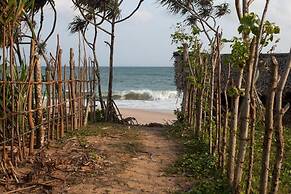 Turtle Paradise