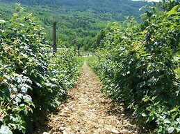 Fattoria Antica Forconia