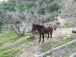 Agri Resort La Forra