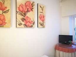 Hostal Albero by gaiarooms