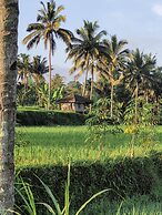 Les Rizieres Lombok
