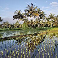 Les Rizieres Lombok