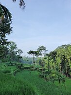Les Rizieres Lombok