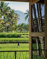 Les Rizieres Lombok