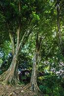 The Dusun