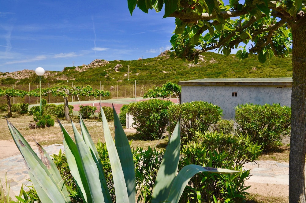 Domaine Bocca Di Feno