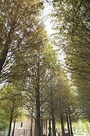 Urarakana B&B