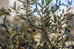 Boutique Hotel Serra D’Aire