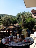 Orto degli Ulivi