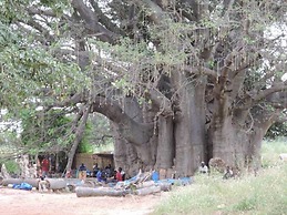 Baobab Lodge