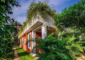 SR Jungle Resort