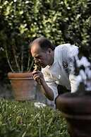 Don Pasquale
