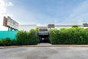 Mayan Monkey Cancun | Social Hotel